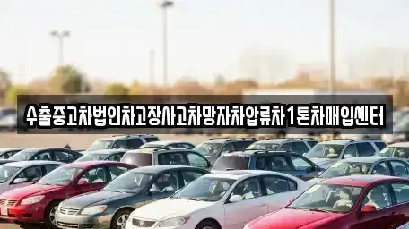 강원 태백시 하사미동 중고차매매 전문 수출중고차법인차고장사고차망자차압류차1톤차매입센터