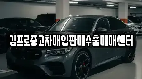 강원특별자치도 인제군 남면 중고차매입 전문 김프로중고차매입판매수출매매센터