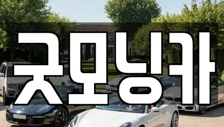 강원특별자치도 춘천시 소양로4가 중고차매매 전문 굿모닝카