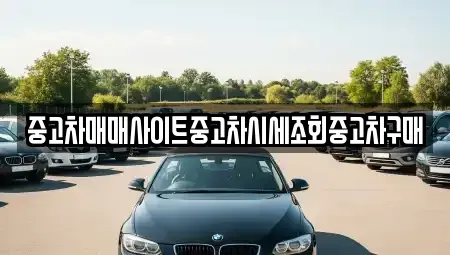 강원특별자치도 춘천시 소양로4가 중고차매매 전문 중고차매매사이트중고차시세조회중고차구매