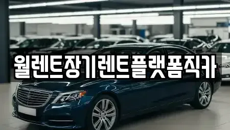 경기 구리시 교문동 장기렌트카 전문 월렌트장기렌트플랫폼직카