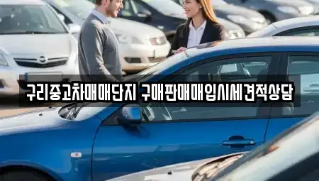 경기 구리시 교문동 중고차 전문 구리중고차매매단지 구매판매매입시세견적상담