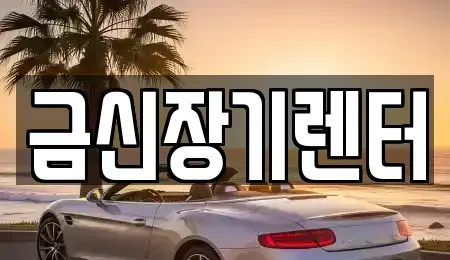 경기 김포시 고촌읍 단기렌트카 전문 금신장기렌터