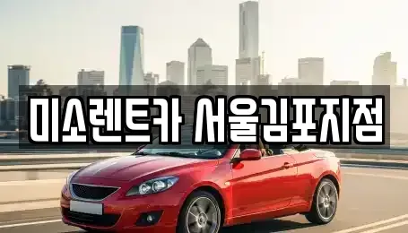 경기 김포시 고촌읍 렌트카,단기렌트카,장기렌트카,중고차,중고차매매,중고차매입