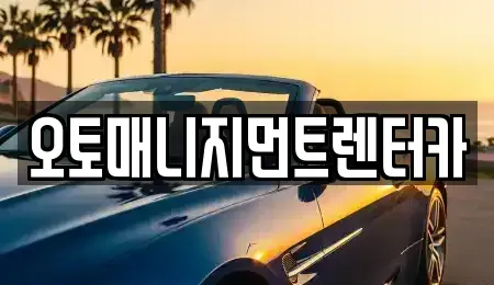 경기 김포시 고촌읍 렌트카 전문 오토매니지먼트렌터카