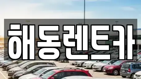 경기 김포시 고촌읍 렌트카 전문 해동렌트카