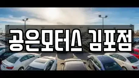 경기 김포시 고촌읍 중고차 전문 공은모터스 김포점