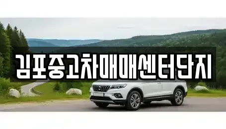 경기 김포시 고촌읍 중고차 전문 김포중고차매매센터단지