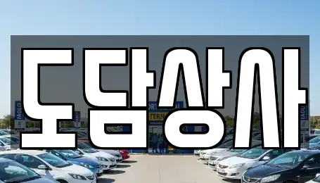 경기 김포시 고촌읍 중고차 전문 도담상사