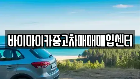 경기 김포시 고촌읍 중고차매입 전문 바이마이카중고차매매매입센터