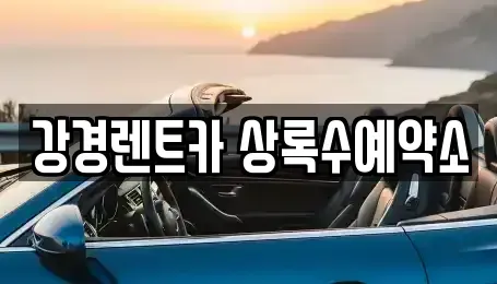 경기 안산시 상록구 팔곡일동 렌트카 전문 강경렌트카 상록수예약소