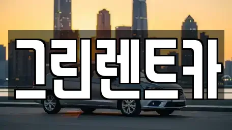 경기 안산시 상록구 팔곡일동 렌트카 전문 그린렌트카