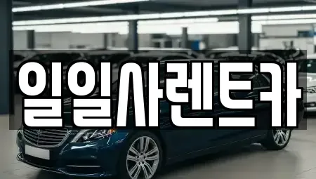 경기 안산시 상록구 팔곡일동 렌트카 전문 일일사렌트카