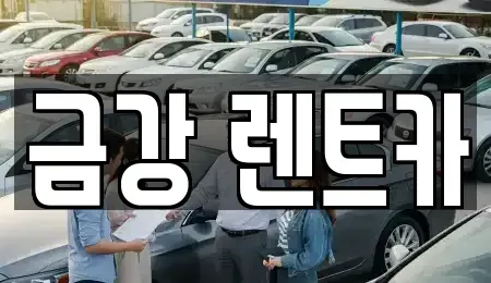 경기도 수원시 렌트카 전문 금강 렌트카