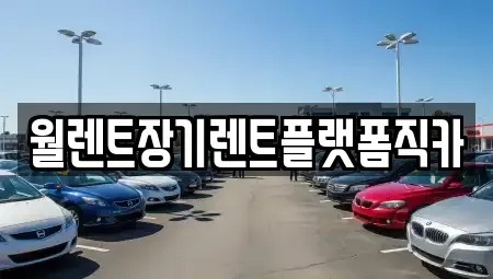 경기도 수원시 장기렌트카 전문 월렌트장기렌트플랫폼직카
