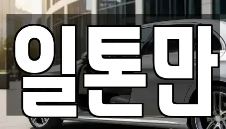 경기도 수원시 중고차 전문 일톤만