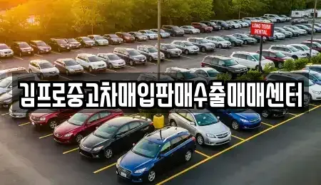 경기도 수원시 중고차매입 전문 김프로중고차매입판매수출매매센터
