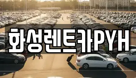 경기도 화성시 서신면 렌트카 전문 화성렌트카PYH