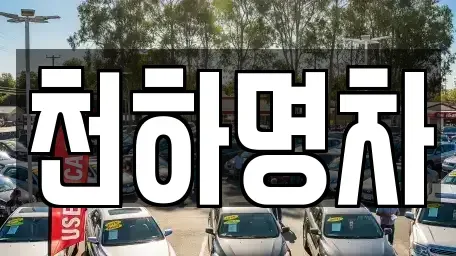 경북 김천시 아포읍 중고차매입 전문 천하명차