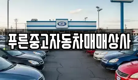 경북 포항시 남구 중고차 전문 푸른중고자동차매매상사