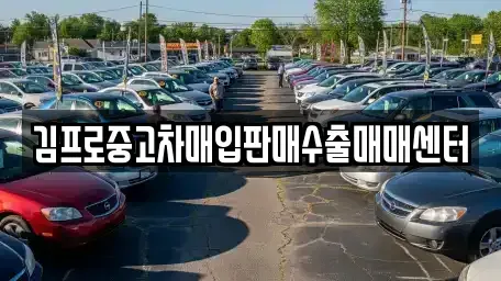 경북 포항시 남구 중고차매입 전문 김프로중고차매입판매수출매매센터