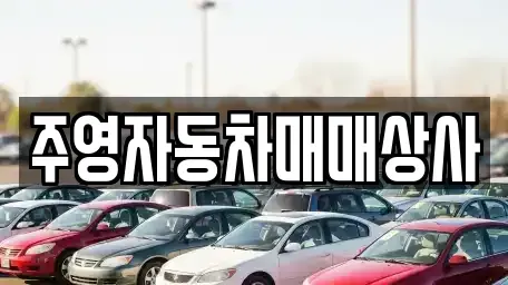 경상남도 사천시 사남면 중고차매매 전문 주영자동차매매상사
