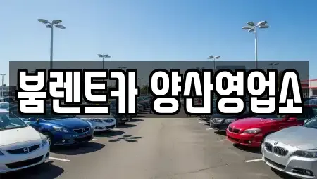 경상남도 양산시 신기동 렌트카 전문 붐렌트카 양산영업소