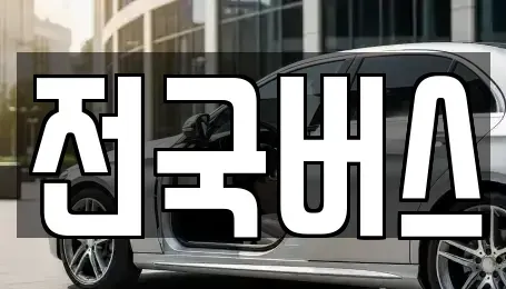 경상북도 영천시 범어동 중고차 전문 전국버스