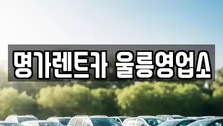 경상북도 울릉군 울릉읍 렌트카 전문 명가렌트카 울릉영업소