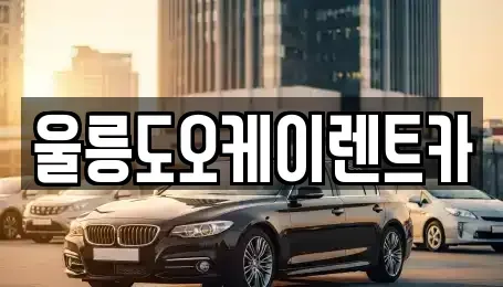 경상북도 울릉군 울릉읍 렌트카 전문 울릉도오케이렌트카