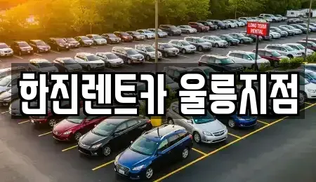 경상북도 울릉군 울릉읍 렌트카 전문 한진렌트카 울릉지점