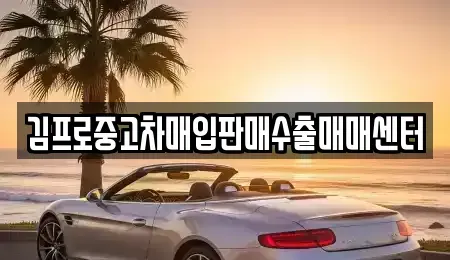 경상북도 울릉군 울릉읍 중고차 전문 김프로중고차매입판매수출매매센터