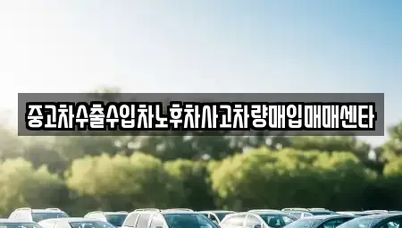 경상북도 울릉군 울릉읍 중고차 전문 중고차수출수입차노후차사고차량매입매매센타