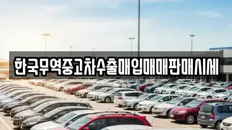 경상북도 울릉군 울릉읍 중고차 전문 한국무역중고차수출매입매매판매시세