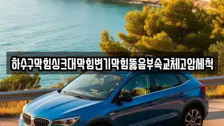 광주 남구 서동 중고차 전문 하수구막힘싱크대막힘변기막힘뚫음부속교체고압세척