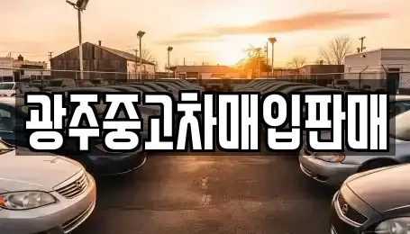 광주 남구 서동 중고차매입 전문 광주중고차매입판매