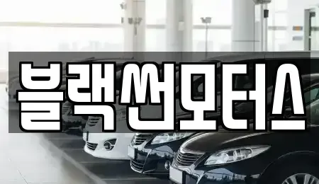 광주 북구 오룡동 중고차 전문 블랙썬모터스