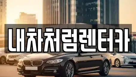 대구 수성구 이천동 렌트카 전문 내차처럼렌터카