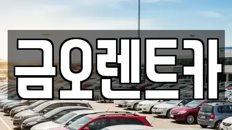 대구 중구 문화동 장기렌트카,중고차,렌트카,단기렌트카,중고차매입,중고차매매