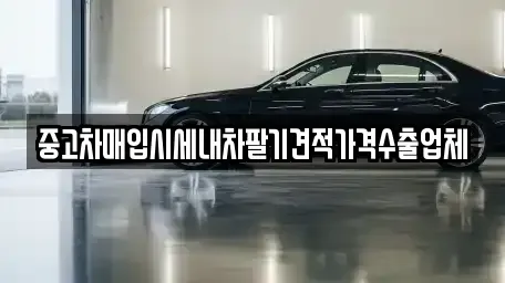 대구 중구 문화동 중고차 전문 중고차매입시세내차팔기견적가격수출업체