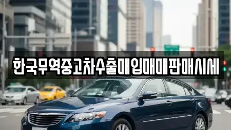대구 중구 문화동 중고차 전문 한국무역중고차수출매입매매판매시세