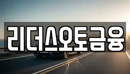 대구 중구 북내동 렌트카 전문 리더스오토금융