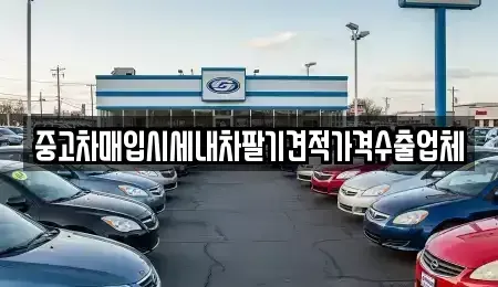 대구 중구 북내동 중고차매입 전문 중고차매입시세내차팔기견적가격수출업체