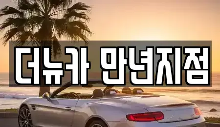대전 서구 둔산동 단기렌트카 전문 더뉴카 만년지점