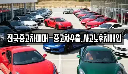 대전 서구 둔산동 중고차매매 전문 전국중고차매매-중고차수출,사고노후차매입