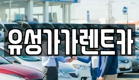 대전 유성구 자운동 렌트카 전문 유성가가렌트카