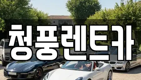 대전광역시 대덕구 황호동 렌트카 전문 청풍렌트카