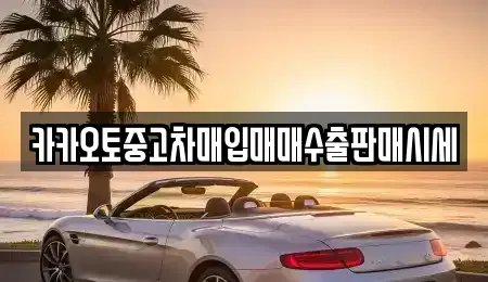 대전광역시 서구 원정동 중고차매매 전문 카카오토중고차매입매매수출판매시세