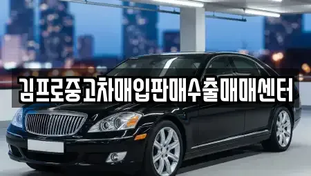 서울 종로구 훈정동 중고차매입 전문 김프로중고차매입판매수출매매센터