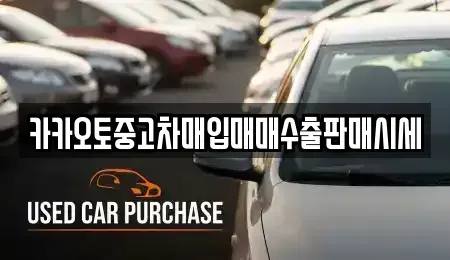 인천광역시 중구 내동 중고차매입 전문 카카오토중고차매입매매수출판매시세